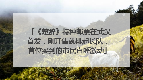 《楚辞》特种邮票在武汉首发，刚开售就排起长队，首位买到的市民直呼激动
