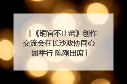 《铜官不止窑》创作交流会在长沙政协同心园举行 陈刚出席