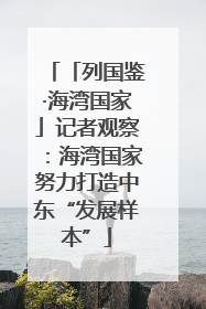 「列国鉴·海湾国家」记者观察：海湾国家努力打造中东“发展样本”