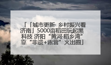 「城市更新· 乡村振兴看济南」5000亩稻田玩起黑科技 济阳“黄河·稻乡湾”靠“非遗+露营”火出圈
