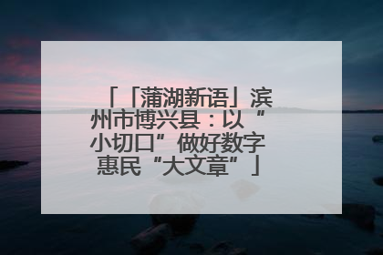 「蒲湖新语」滨州市博兴县：以“小切口”做好数字惠民“大文章”