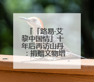 「路易·艾黎中国情」十年后再访山丹：捐赠文物增新容 四坝滩遗址诉说历史沧桑