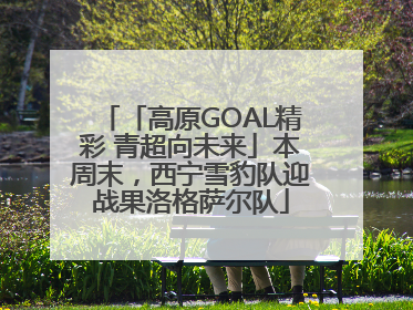 「高原GOAL精彩 青超向未来」本周末，西宁雪豹队迎战果洛格萨尔队