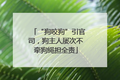 “狗咬狗”引官司，狗主人屡次不牵狗绳担全责