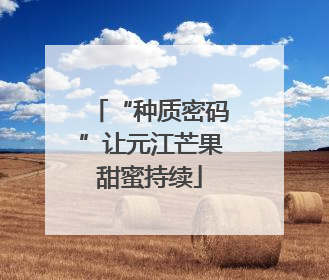 “种质密码”让元江芒果甜蜜持续