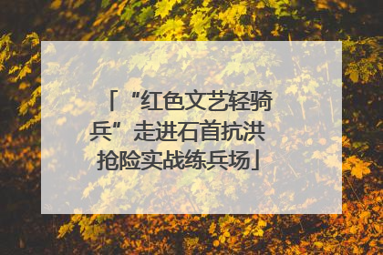 “红色文艺轻骑兵”走进石首抗洪抢险实战练兵场