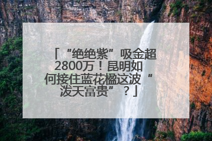 “绝绝紫”吸金超2800万！昆明如何接住蓝花楹这波“泼天富贵”？