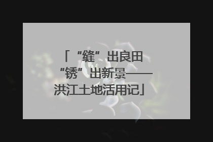“缝”出良田 “锈”出新景——洪江土地活用记