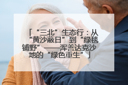 “三北”生态行：从“黄沙蔽日”到“绿毯铺野”——浑善达克沙地的“绿色重生”