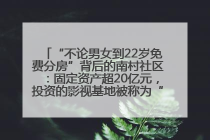 “不论男女到22岁免费分房”背后的南村社区：固定资产超20亿元，投资的影视基地被称为“山村好莱坞”