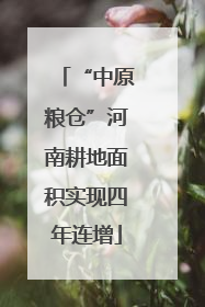 “中原粮仓”河南耕地面积实现四年连增