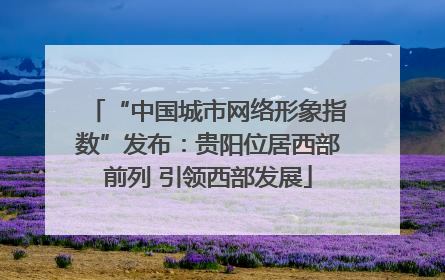 “中国城市网络形象指数”发布：贵阳位居西部前列 引领西部发展