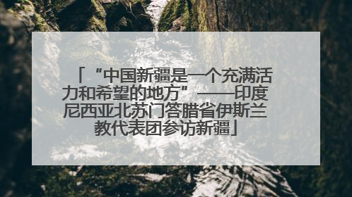 “中国新疆是一个充满活力和希望的地方”——印度尼西亚北苏门答腊省伊斯兰教代表团参访新疆