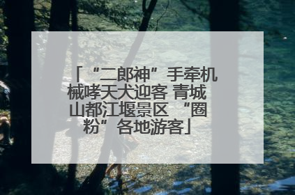 “二郎神”手牵机械哮天犬迎客 青城山都江堰景区 “圈粉”各地游客