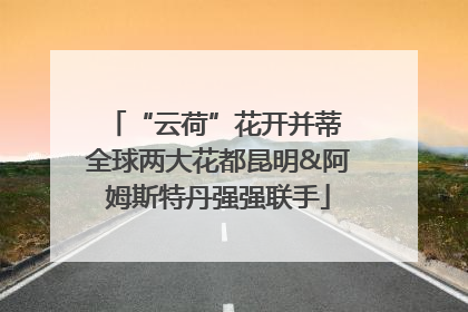 “云荷”花开并蒂 全球两大花都昆明&阿姆斯特丹强强联手