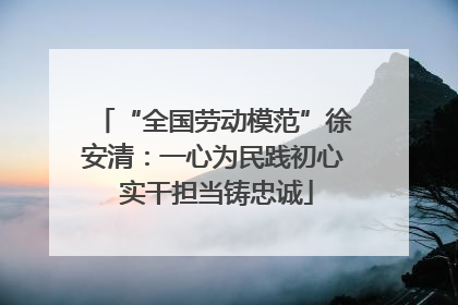 “全国劳动模范”徐安清：一心为民践初心 实干担当铸忠诚