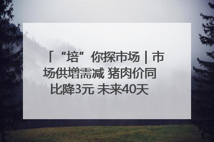 “培”你探市场｜市场供增需减 猪肉价同比降3元 未来40天便宜猪肉敞开吃
