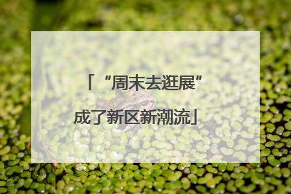 “周末去逛展”成了新区新潮流