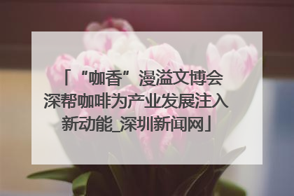 “咖香”漫溢文博会 深帮咖啡为产业发展注入新动能_深圳新闻网
