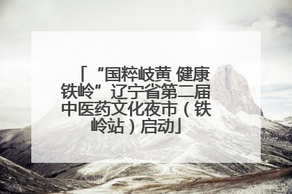 “国粹岐黄 健康铁岭”辽宁省第二届中医药文化夜市（铁岭站）启动