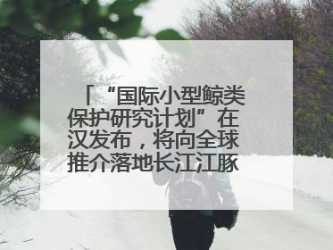 “国际小型鲸类保护研究计划”在汉发布，将向全球推介落地长江江豚保护经验