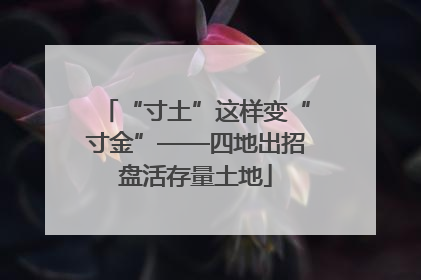 “寸土”这样变“寸金”——四地出招盘活存量土地