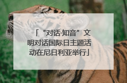“对话·知音”文明对话国际日主题活动在尼日利亚举行