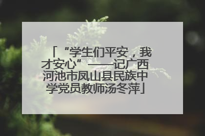 “学生们平安，我才安心”——记广西河池市凤山县民族中学党员教师汤冬萍