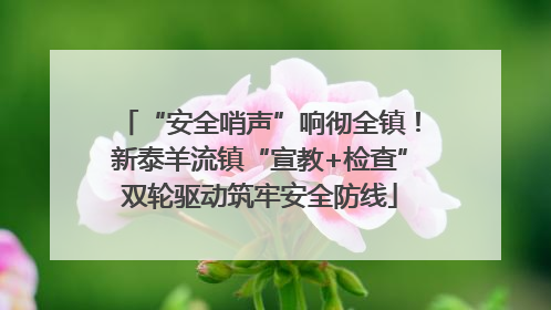 “安全哨声”响彻全镇！新泰羊流镇“宣教+检查”双轮驱动筑牢安全防线