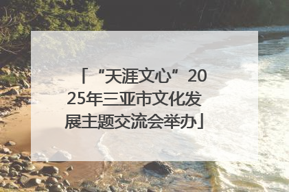 “天涯文心”2025年三亚市文化发展主题交流会举办