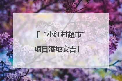 “小红村超市”项目落地安吉