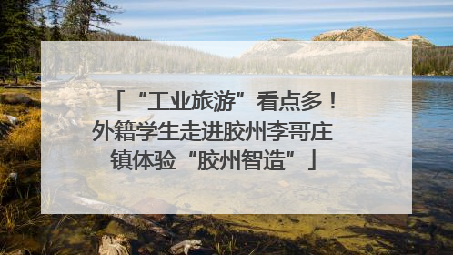 “工业旅游”看点多！外籍学生走进胶州李哥庄镇体验“胶州智造”