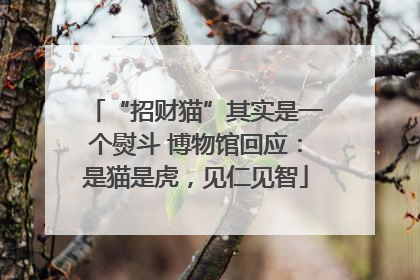 “招财猫”其实是一个熨斗 博物馆回应：是猫是虎，见仁见智