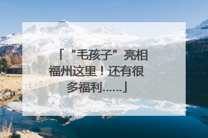 “毛孩子”亮相福州这里！还有很多福利……