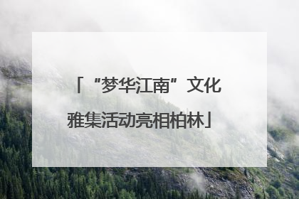 “梦华江南”文化雅集活动亮相柏林