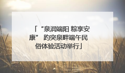 “泉润端阳 粽享安康” 趵突泉畔端午民俗体验活动举行