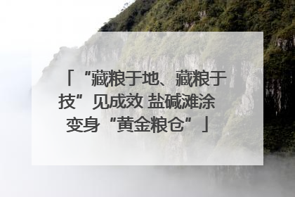 “藏粮于地、藏粮于技”见成效 盐碱滩涂变身“黄金粮仓”