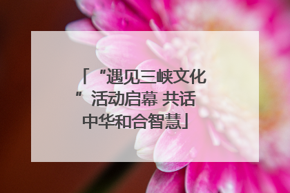 “遇见三峡文化”活动启幕 共话中华和合智慧