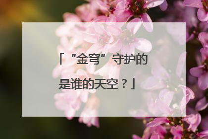“金穹”守护的是谁的天空？