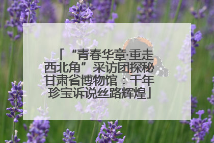 “青春华章·重走西北角”采访团探秘甘肃省博物馆：千年珍宝诉说丝路辉煌