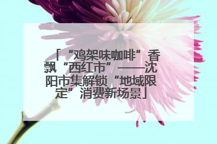 “鸡架味咖啡”香飘“西红市”——沈阳市集解锁“地域限定”消费新场景