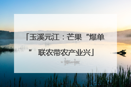 玉溪元江：芒果“爆单” 联农带农产业兴