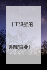王铁强的甜蜜事业