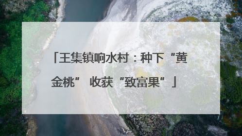 王集镇响水村：种下“黄金桃” 收获“致富果”