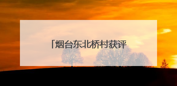 烟台东北桥村获评“全国文明村”：乡村振兴展新貌