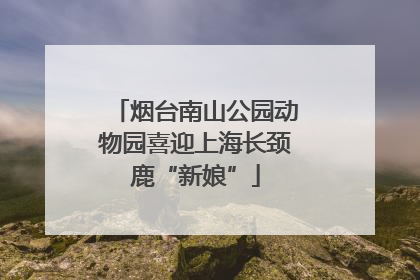 烟台南山公园动物园喜迎上海长颈鹿“新娘”