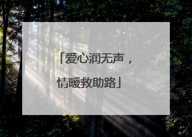 爱心润无声，情暖救助路