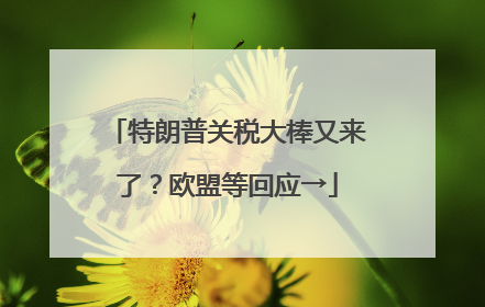 特朗普关税大棒又来了？欧盟等回应→