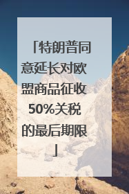 特朗普同意延长对欧盟商品征收50%关税的最后期限
