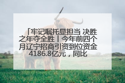 牢记嘱托显担当 决胜之年夺全胜丨今年前四个月辽宁招商引资到位资金4186.8亿元，同比增长17.4%
